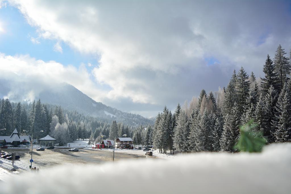 Casa Vlasin Poiana Brasov Buitenkant foto